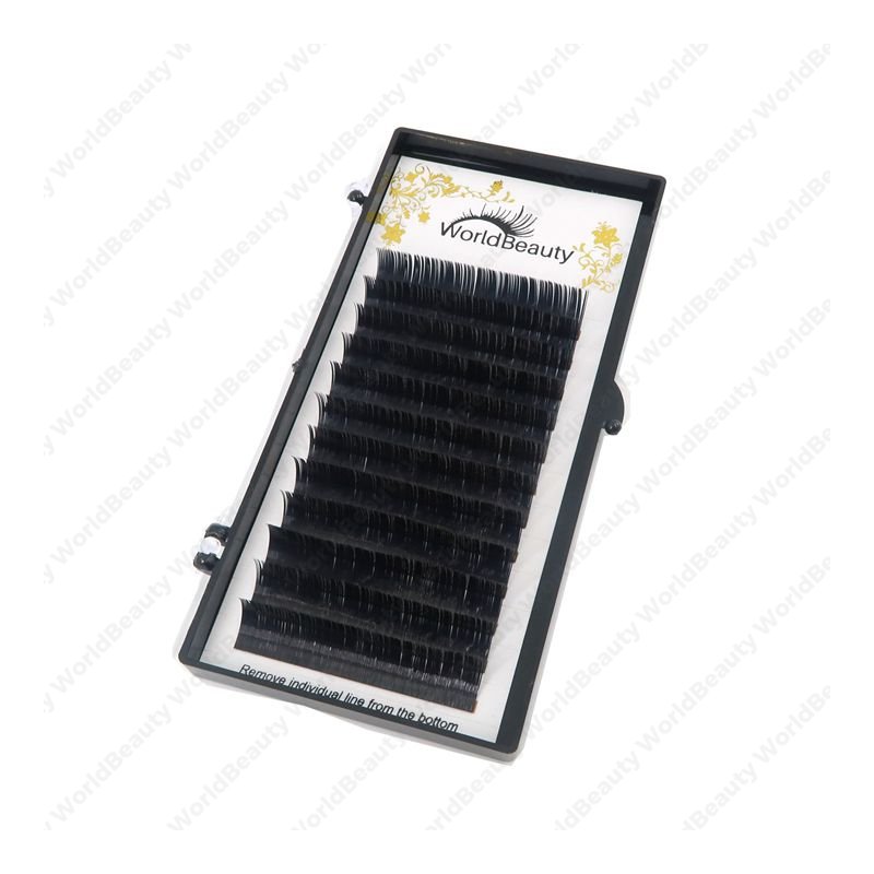 Worldbeauty 0.20B flat lash extensions  (2).JPG