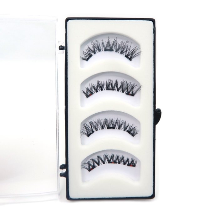 Traditional Magnetic eyelashes TM-01