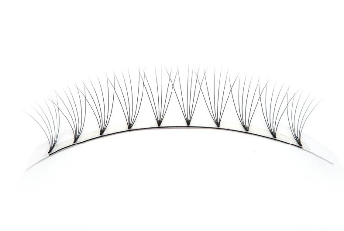 Worldbeauty prefan lashes